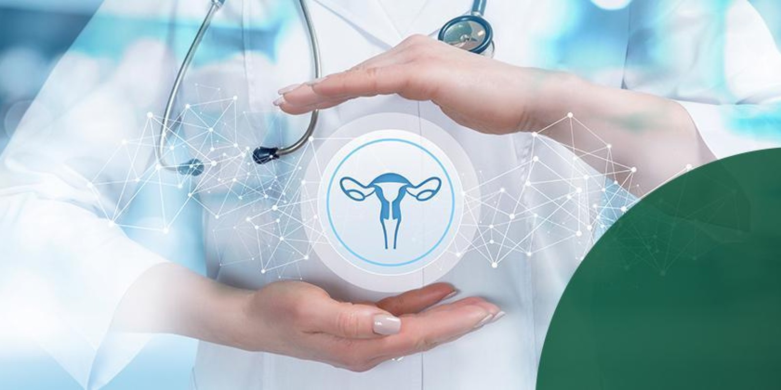 Ginecologia e Obstetrícia - Os principais problemas tratados com um ginecologista 