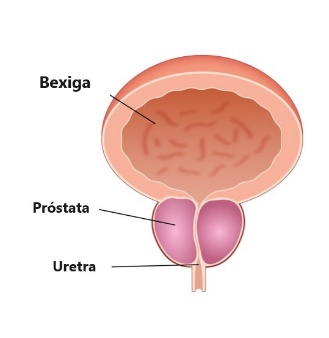 Novembro azul, mês de prevenção do câncer de próstata 